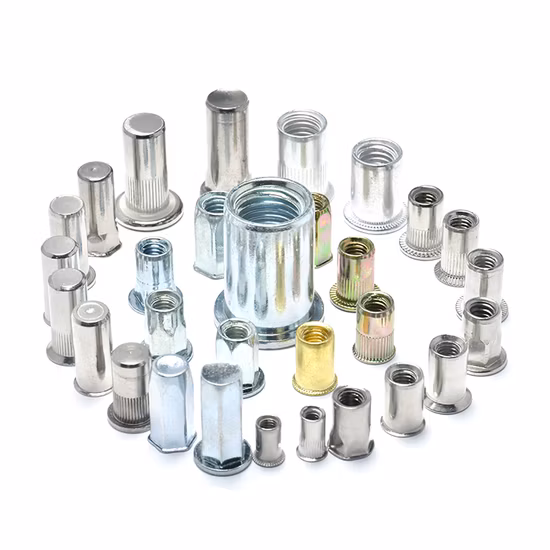 Extremo ciego SS304 SS316 18-8 A2 Métricas M6 M8 Cabeza reducida Medio cuerpo hexagonal Tuercas de remache con extremo cerrado